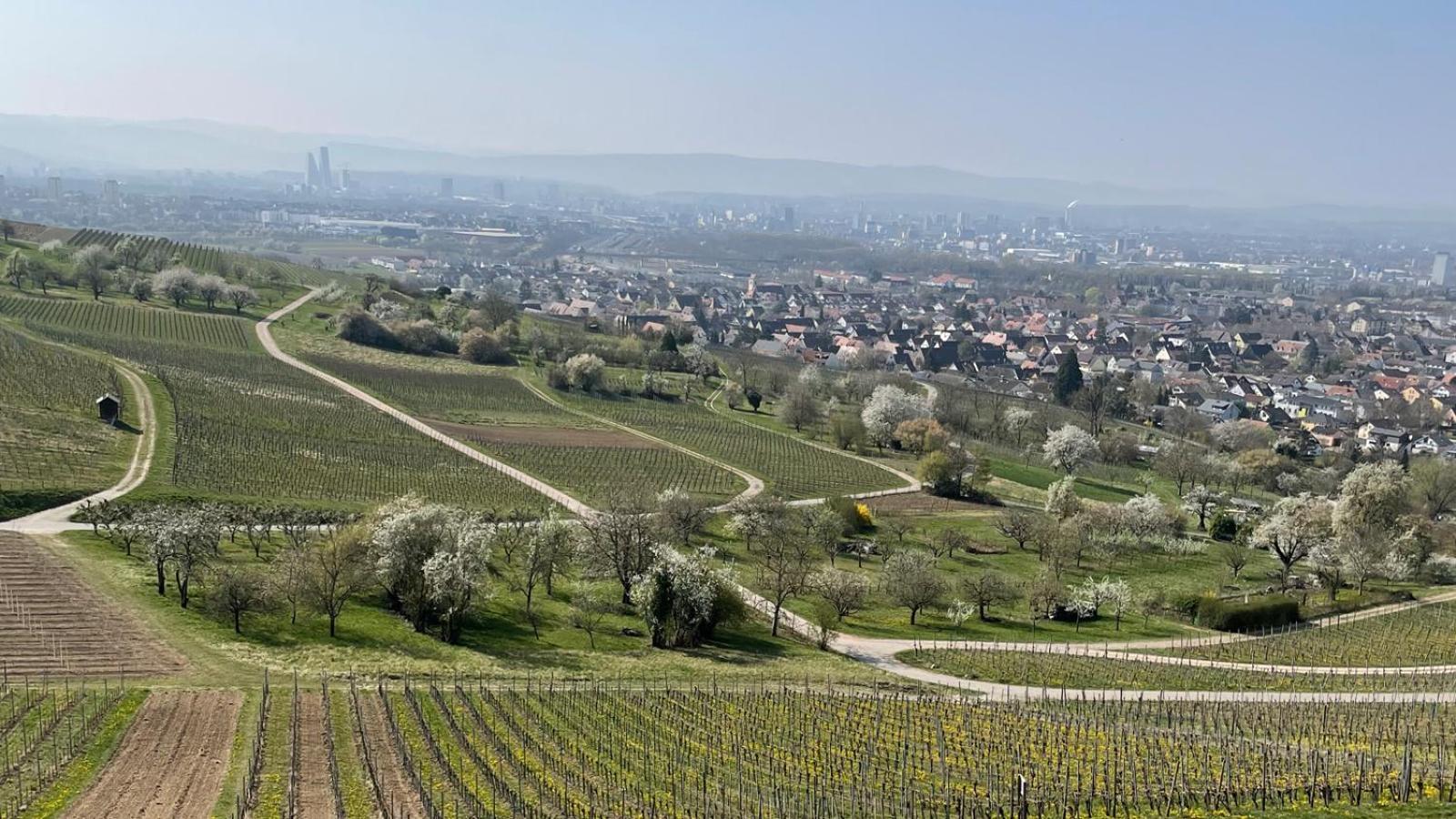 Landgasthof Rebstock Weil am Rhein / Basel Exterior foto